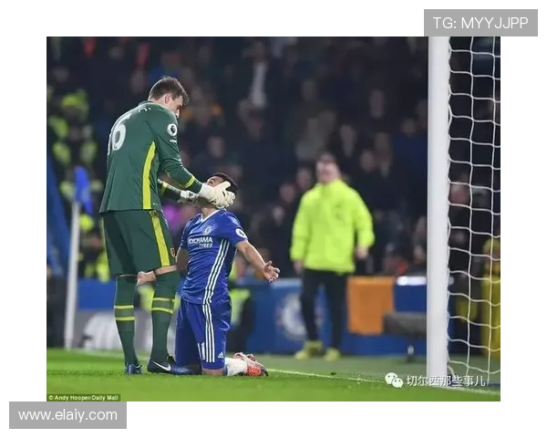 切尔西战赫尔城歧视口号者被捕