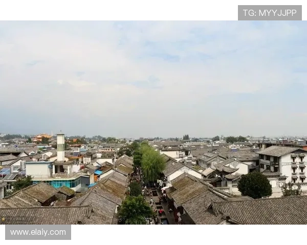 墨西哥国门马拉贡伤缺6至8个月 墨西哥国门马拉贡伤缺6至8个月